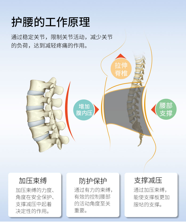 夏季護腰_常州普邦醫療設備