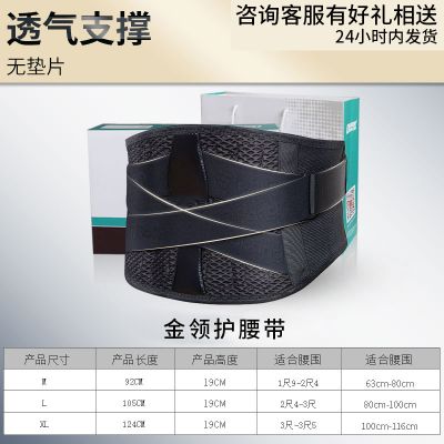 golden-collar Waist belt_Pubang Medical Equipment